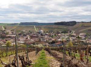 la-vie-en-rose-flamant-week-end-aube-champagne-slow-tourisme-champagne-fourrier-vignes-vue-baroville